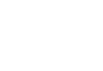 ANVA ART